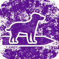 dog-walking-icon