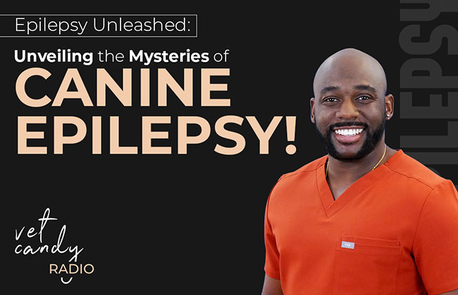 vet-candy-unraveling-mystery